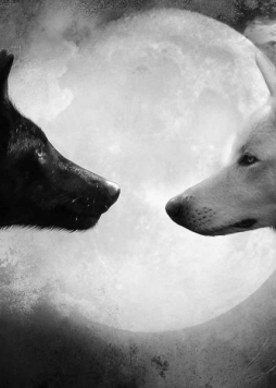 Mỗi chúng ta đều có hai con sói trong người